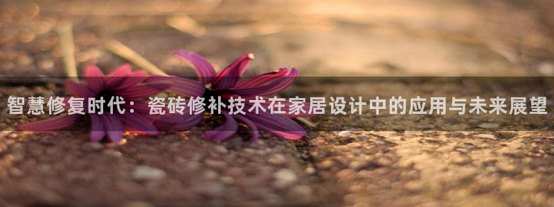 b体育必一下载