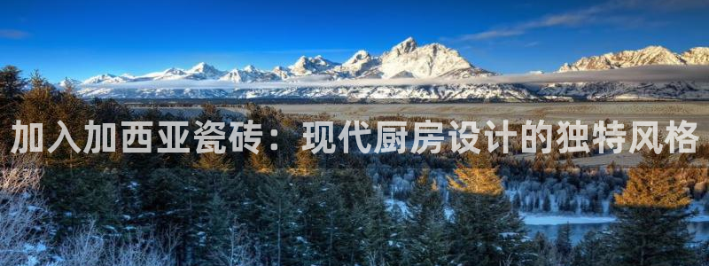 必一体育APP