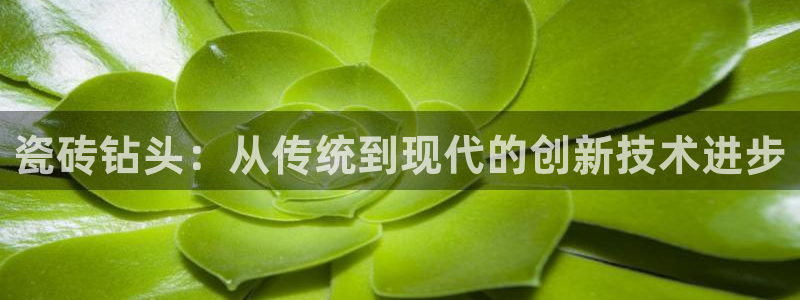 必一体育下载一样吗