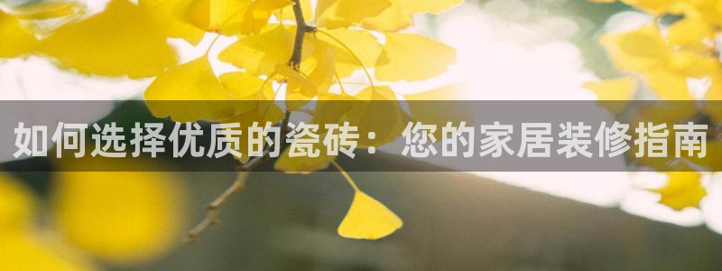 必一体育官网app