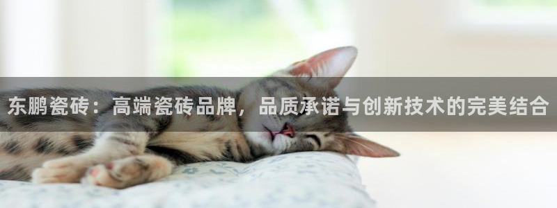 必一体育下载一样吗
