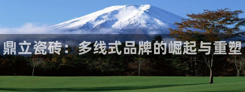 必一体育登入