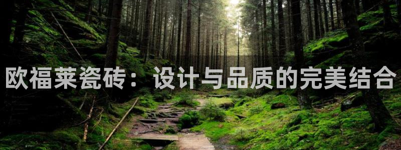 必一运动体育官网