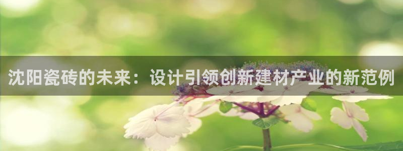 必一体育手机下载