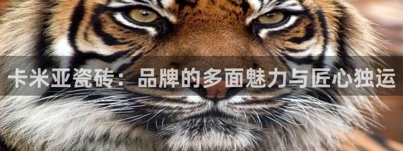 必一体育app下载最新版本苹果
