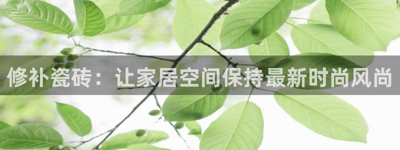 必一体育运动app