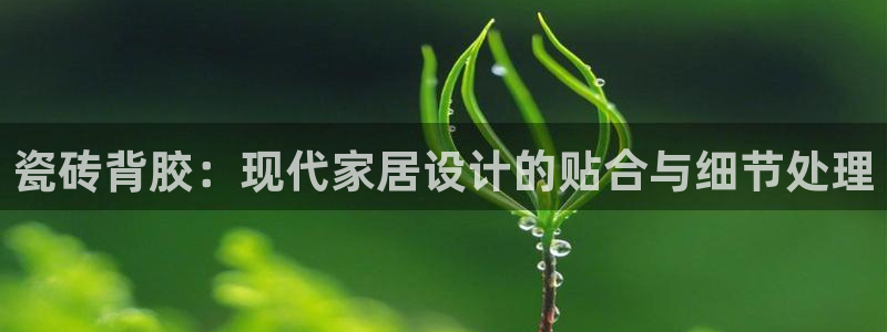 必一运动 b 体育素描版