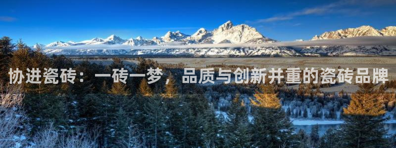 必一体育在哪下