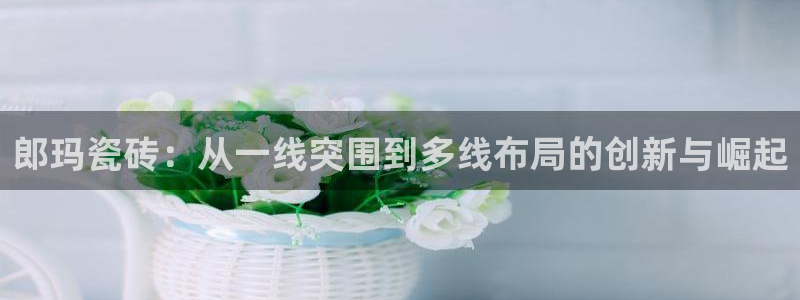 必一体育是哪里的台子