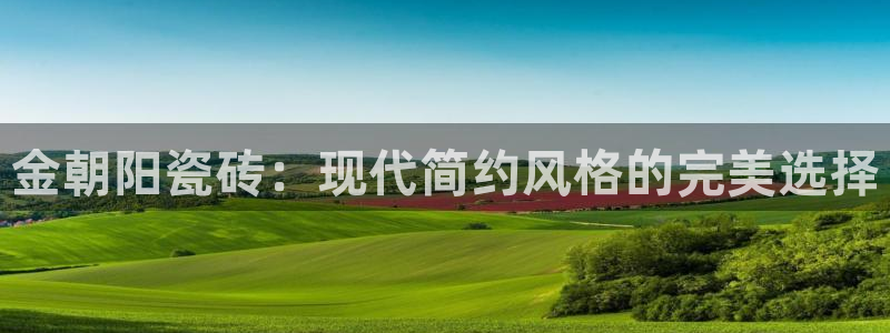 必一运动 b 体育素描版