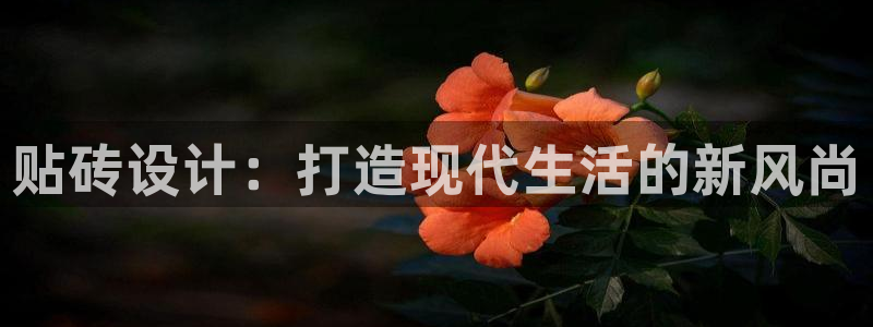 必一体育app下载装机吧