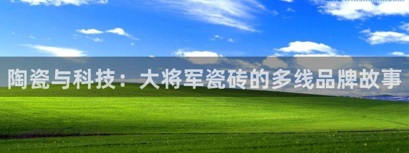 必一体育合法吗