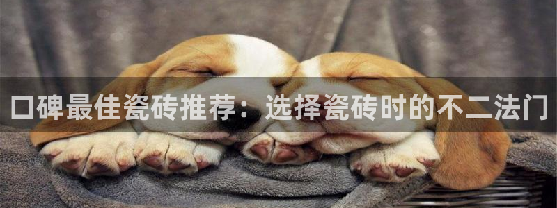 必一运动体育app