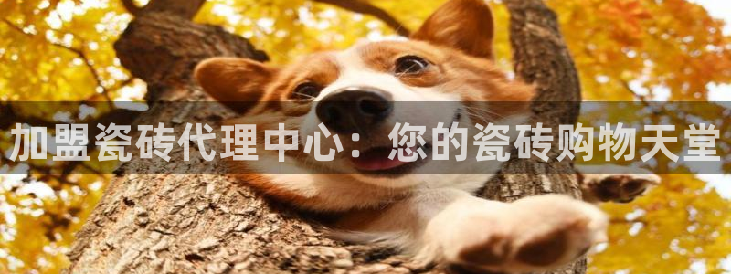 必一体育官网app