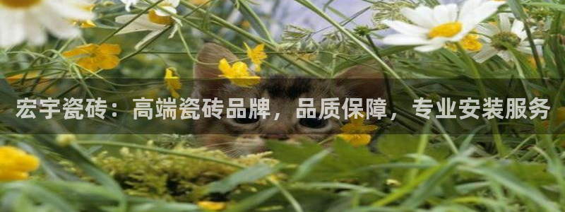 必一运动tieba.baidu.com