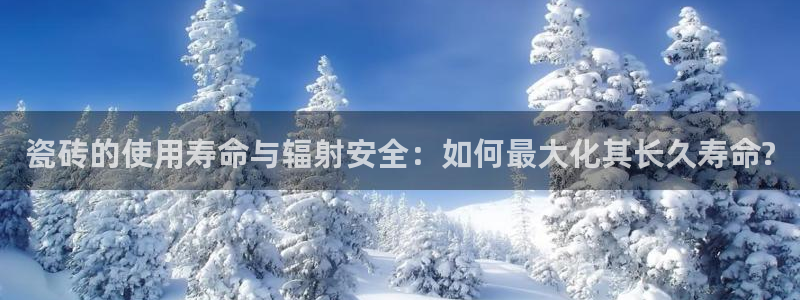 必一运动体育app