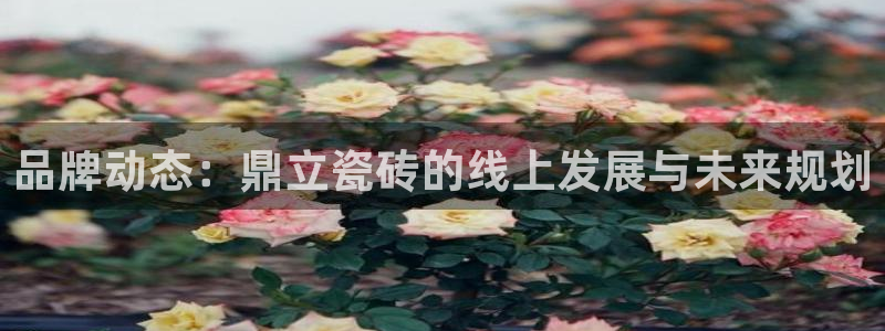 必一体育app下载安装