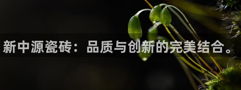 必一体育sport官方网站