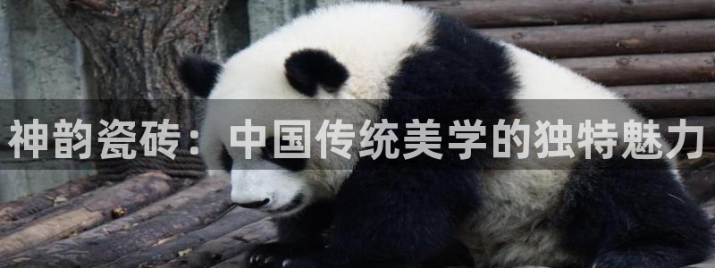 必一体育app官方