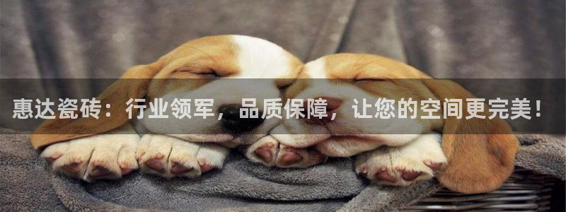 必一体育全站在线登录入口