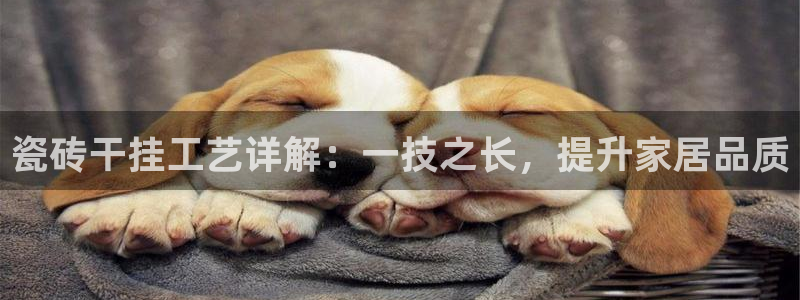 必一体育验证码