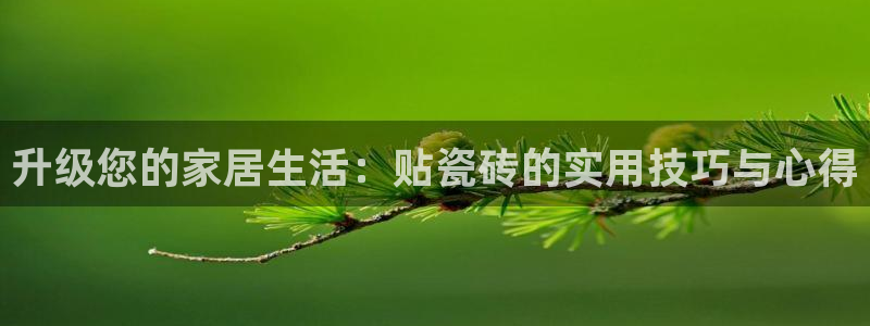 必一体育网页登录版官网