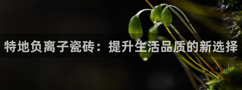 必一体育下载移动版