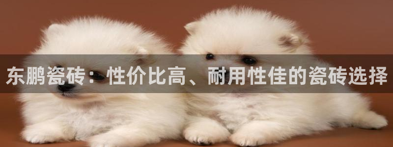 必一体育官方网站入口