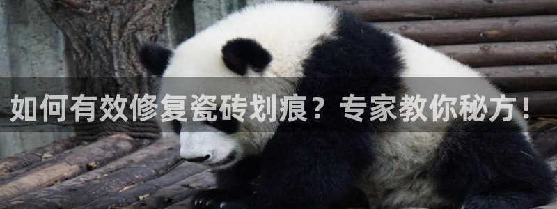 必一运动验证码