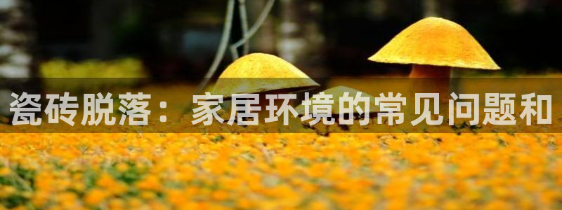 必一运动·(B-sports)