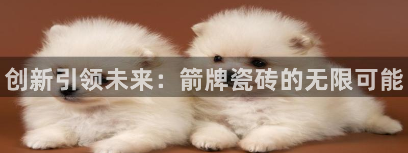 必一体育全站在线登录入口