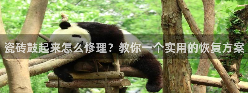 必一体育登录APP下载