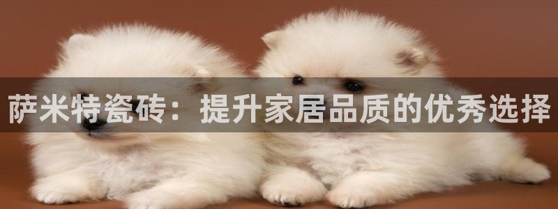 必一体育是哪里的台子