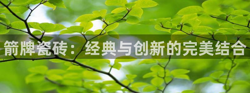 必一体育sport下载