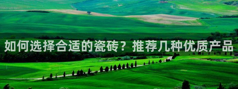 必一体育皮尔斯