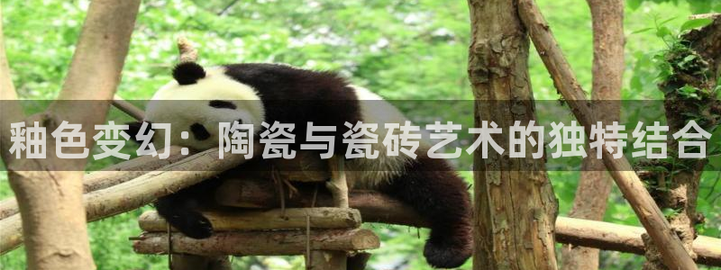 必一体育运动下载