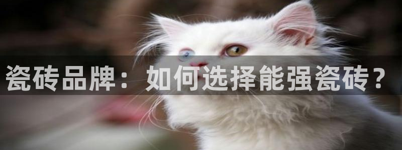 必一体育官网ios下载