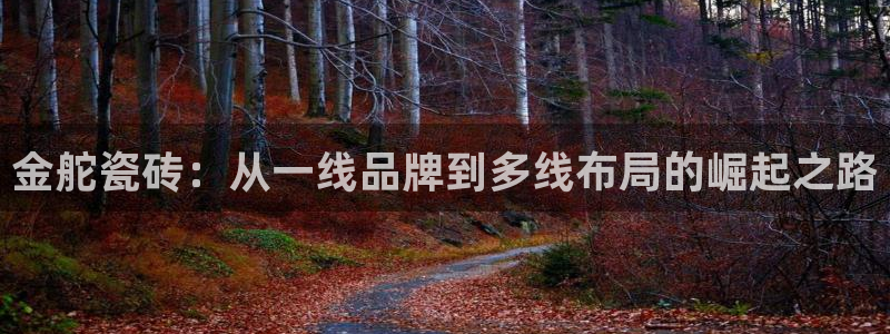 Bsport体育app必一