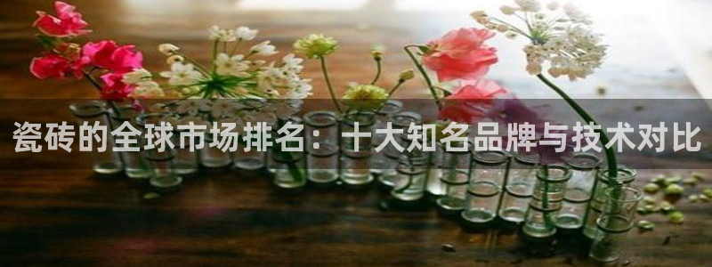 必一体育官方网站入口