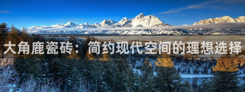 必一体育下载入口