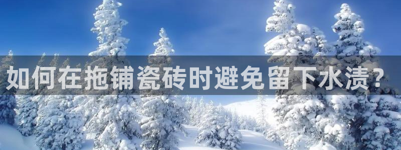 必一体育sportB体育