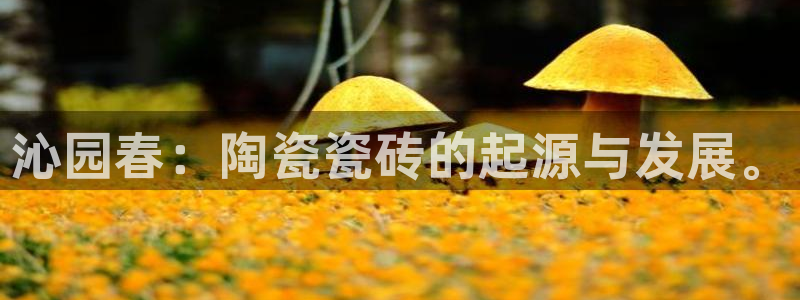 必一体育官方下载