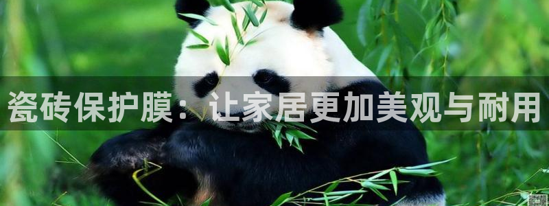 必一体育sport官方网站