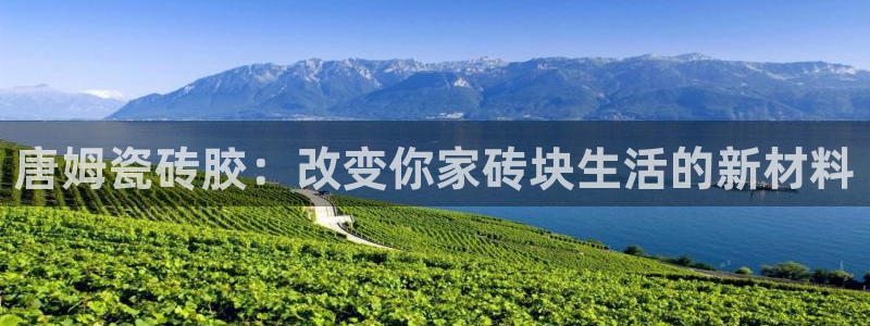 必一运动·(B-sports)