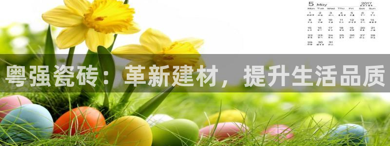 必一体育登录入口