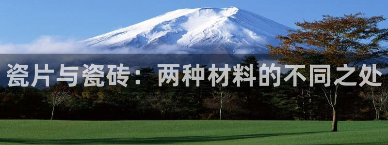 必一体育黑平台