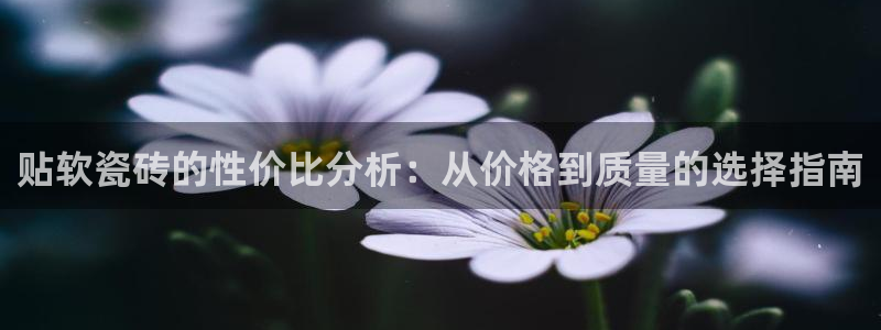 必一体育下载app下载