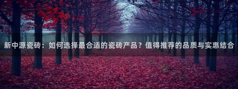 必一体育黑平台