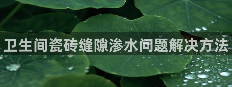 必一体育官网网站