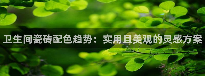 必一运动·(B-Sports)土豆